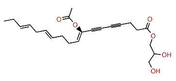 Peyssonenyne A